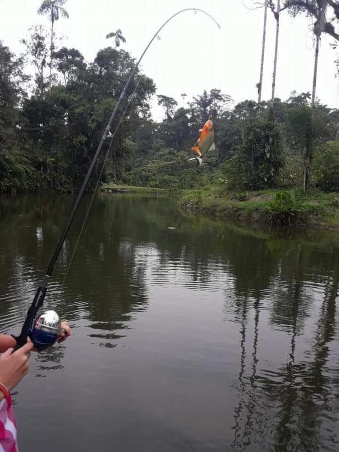 Amuntai Rainforest Lodge Palora Eksteriør billede